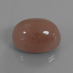 Pedra da lua marrom natural 49,49ct, corte oval, opaco