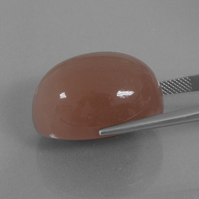 Pedra da lua marrom natural 49,49ct, corte oval, opaco