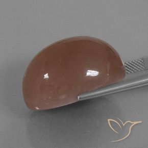 Pedra da Lua Marrom Quente Natural 44.24ct, oval, Opaco