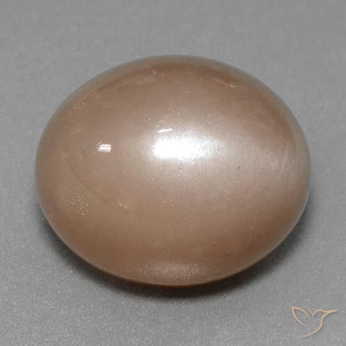 Pedra da Lua marrom neutro Natural 41.53ct, oval, Opaco