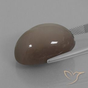 Pedra da Lua Castanho médio Natural 39.74ct, oval, Opaco