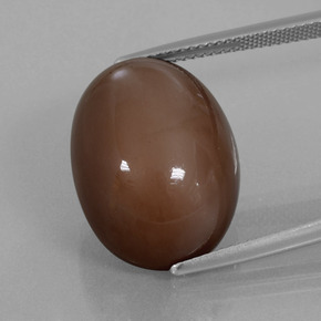 Pedra da lua marrom natural 22,96ct, corte oval, opaco