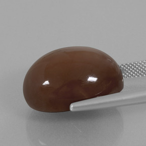 Pedra da lua marrom natural 22,96ct, corte oval, opaco