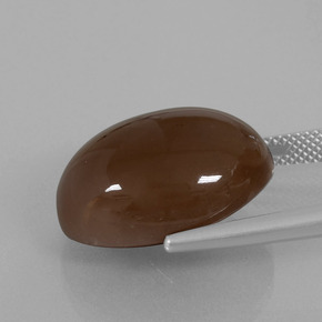 Pedra da lua chocolate marrom natural 20,25ct, corte oval, opaco
