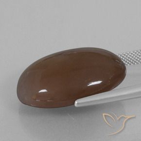 Pedra da Lua Chocolate marrom Natural 28.02ct, oval, Opaco
