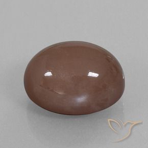 Pedra da Lua Espresso Marrom Natural 25.76ct, oval, Opaco