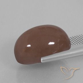Pedra da Lua Espresso Marrom Natural 25.76ct, oval, Opaco