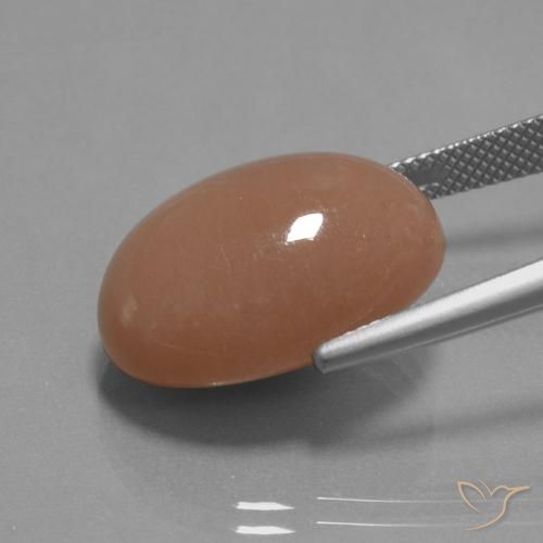 Pedra da Lua Cidra de Laranja Natural 18.19ct, oval, Opaco