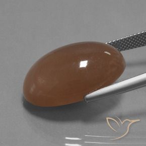 Pedra da Lua Pêssego Profundo Natural 20.88ct, oval, Opaco