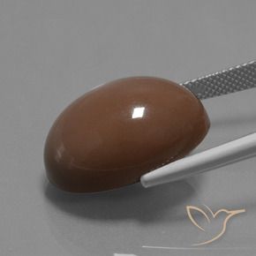Pedra da Lua Castanho médio Natural 20.43ct, oval, Opaco