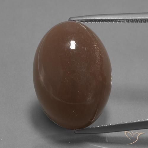 22.67ct Natural Castanho médio Pedra da Lua, oval, Opaco