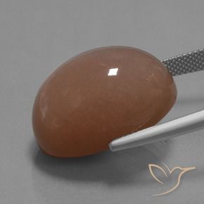 Pedra da Lua Castanho médio Natural 30.59ct, oval, Opaco