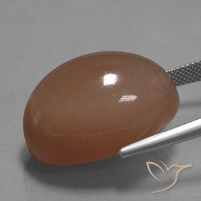 Pedra da Lua Marrom Quente Natural 44.65ct, Corte Oval, Opaco