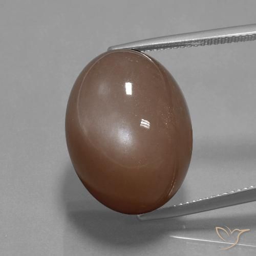 34.59ct Natural Castanho médio Pedra da Lua, oval, Opaco