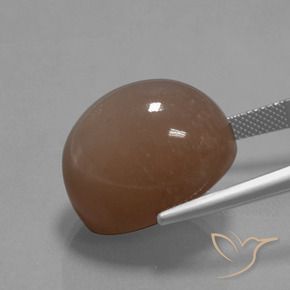 Pedra da Lua Castanho médio Natural 34.59ct, oval, Opaco