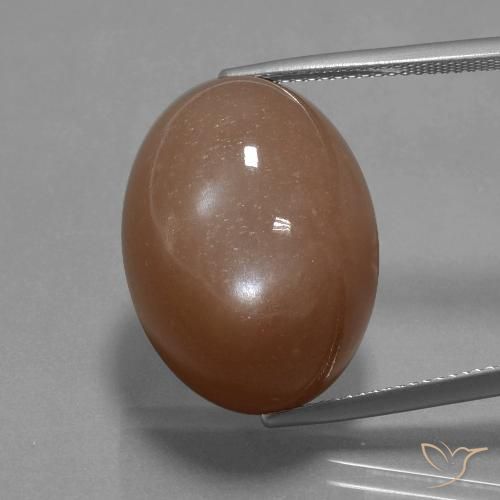 32.77ct Natural Marrom Quente Pedra da Lua, oval, Opaco