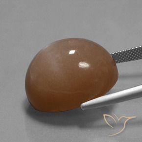 Pedra da Lua Marrom Quente Natural 32.77ct, oval, Opaco