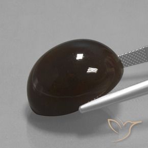 Pedra da Lua Marrom escuro Natural 32.69ct, oval, Opaco