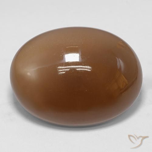 Pedra da Lua Marrom dourado Natural 30.74ct, oval, Translúcido