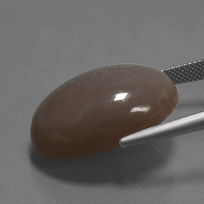 Pedra da lua marrom natural 28,89ct, corte oval, opaco