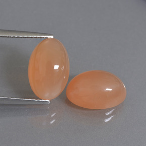 Pedras preciosas de pedra da lua laranja natural de 7,38 ct, corte oval, translúcido