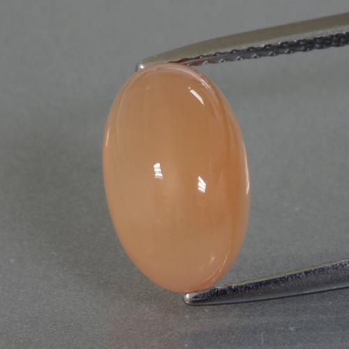 Pedra da lua laranja natural 3,49ct, corte oval, translúcido