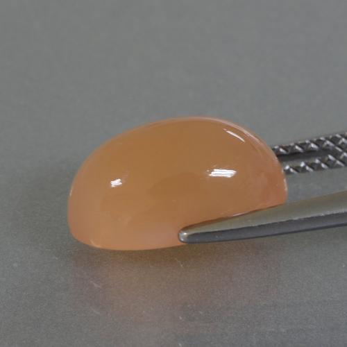 Pedra da lua laranja natural 3,49ct, corte oval, translúcido