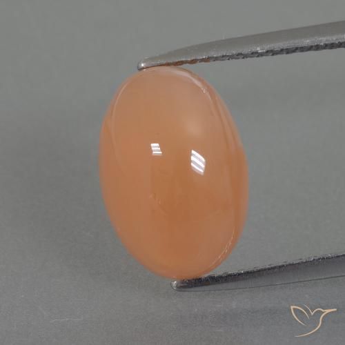 4.99ct Natural Laranja Médio Pedra da Lua, oval, Translúcido