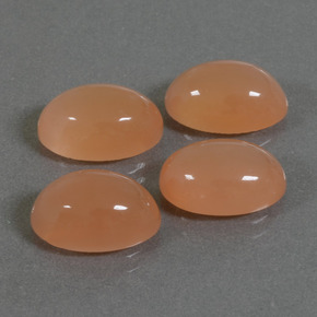Pedras preciosas de pedra da lua laranja natural de 14,46 ct, corte oval, translúcido