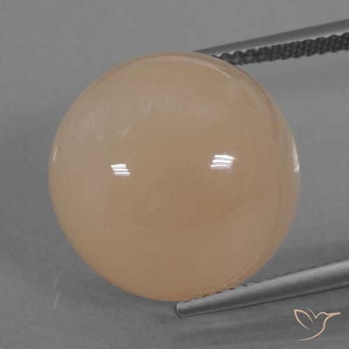 19.74ct Natural Laranja claro Pedra da Lua, Redondo, Translúcido