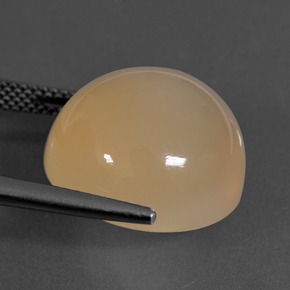 Pedra da lua laranja natural 16,94ct, corte redondo, translúcido