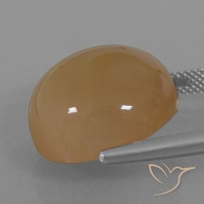 Pedra da Lua Castanho Amendoim Claro Natural 23.98ct, Redondo, Translúcido