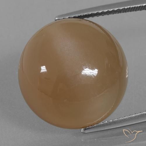 21.98ct Natural Marrom alaranjado Pedra da Lua, Redondo, Translúcido