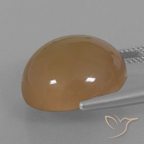 Pedra da Lua Marrom alaranjado Natural 21.98ct, Redondo, Translúcido