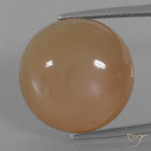23.89ct Natural Marrom Caramelo Pedra da Lua, Redondo, Translúcido