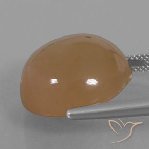 Pedra da Lua Marrom Caramelo Natural 23.89ct, Redondo, Translúcido