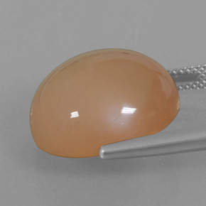 Pedra da lua laranja natural 21,29ct, corte redondo, translúcido