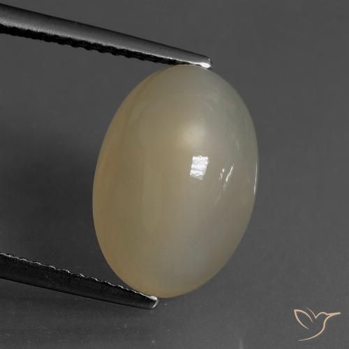 6.82ct Natural Tortilha Clara Marrom Pedra da Lua, oval, Translúcido
