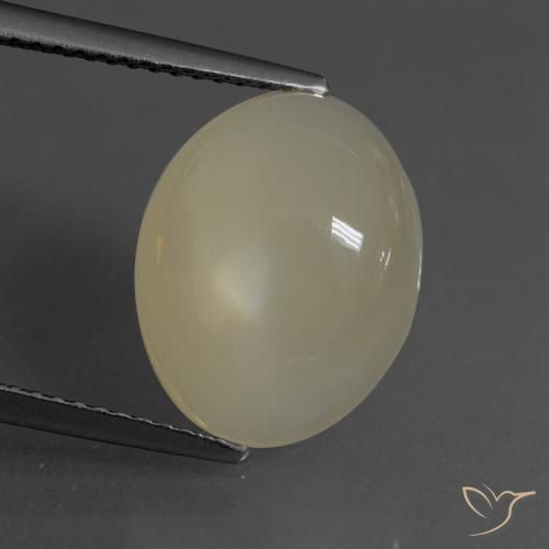 6.24ct Natural Café Marrom Claro Pedra da Lua, oval, Translúcido