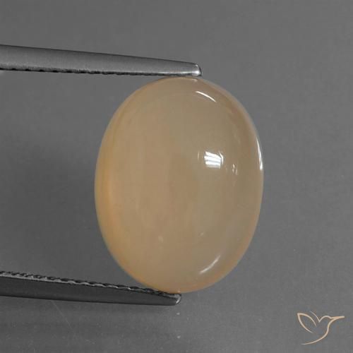 6.15ct Natural Laranja Melão Pedra da Lua, oval, Translúcido