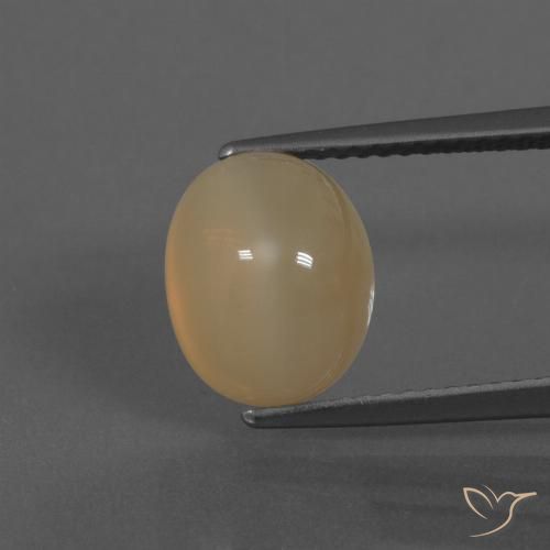 4.72ct Natural Laranja-dourado médio Pedra da Lua, oval, Translúcido