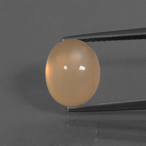 Pedra da lua laranja natural 4,67ct, corte oval, translúcido