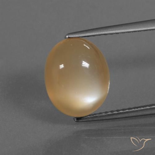 4.18ct Natural creme de laranja Pedra da Lua, oval, Translúcido