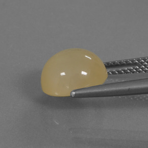 Pedra da Lua Dourado Natural 3.37ct, Corte Redondo, Translúcido