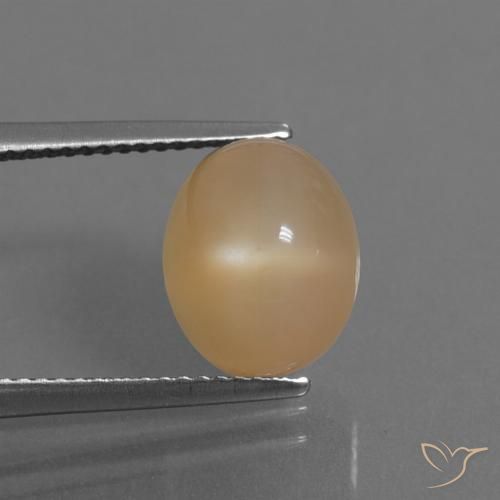 5.32ct Natural Laranja-Ouro Pedra da Lua, oval, Translúcido