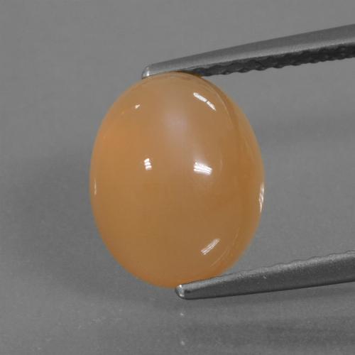 Pedra da Lua Laranja Melão Natural 4.11ct, Corte Oval, Translúcido