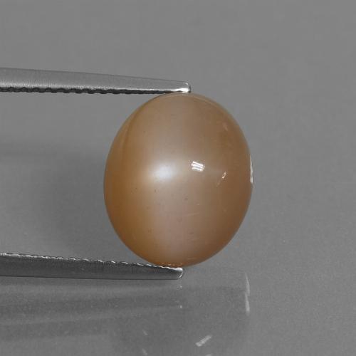 Pedra da Lua Amendoim Marrom Natural 6.30ct, Corte Oval, Translúcido