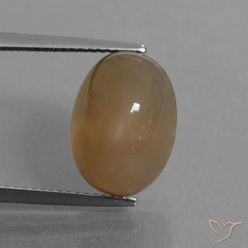 9.55ct Natural Marrom Caramelo Claro Pedra da Lua, oval, Translúcido