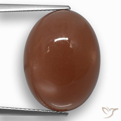 17.21ct Natural Marrom avermelhado Pedra da Lua, oval, Translúcido