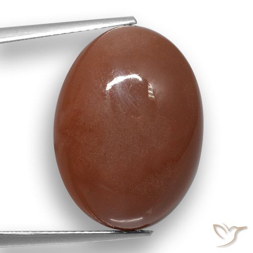 20.59ct Natural Castanho médio Pedra da Lua, oval, Translúcido